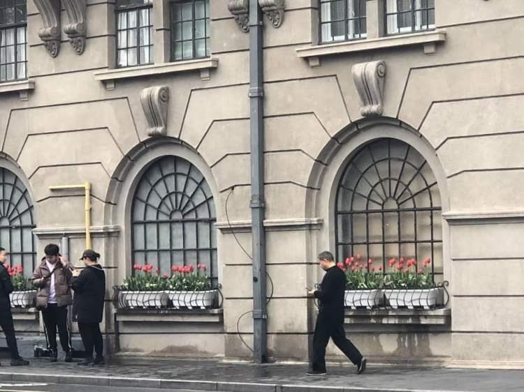 上海最全郁金香打卡攻略！从外滩到武康大楼，在这些地方“郁”见美好