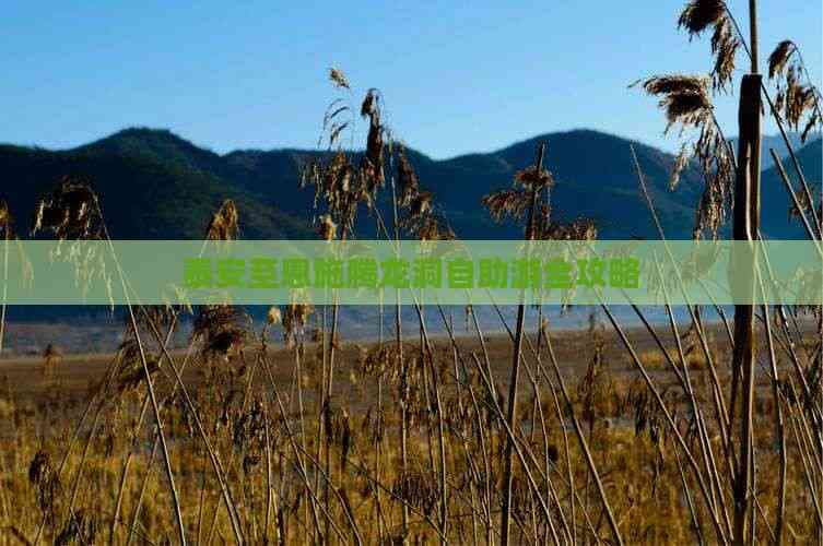 泰安至恩施腾龙洞自助游全攻略
