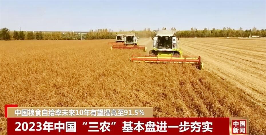 中国农业展望：粮食自给率十年内有望提升至91.5%