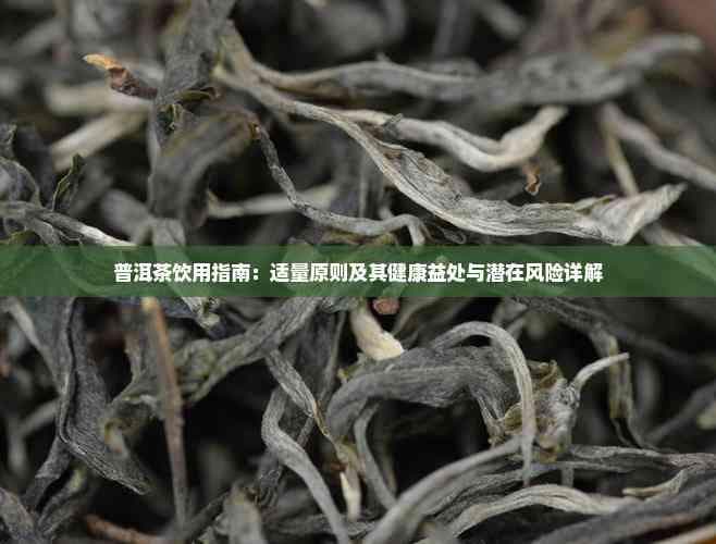 普洱茶饮用指南：适量原则及其健康益处与潜在风险详解