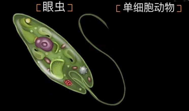 从现代科学角度解读中医“气和气机”理论