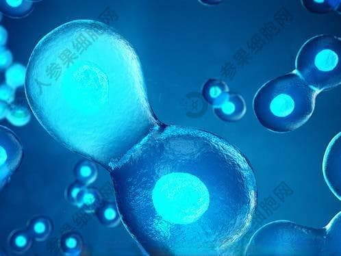 糖尿病足需要检查哪些？