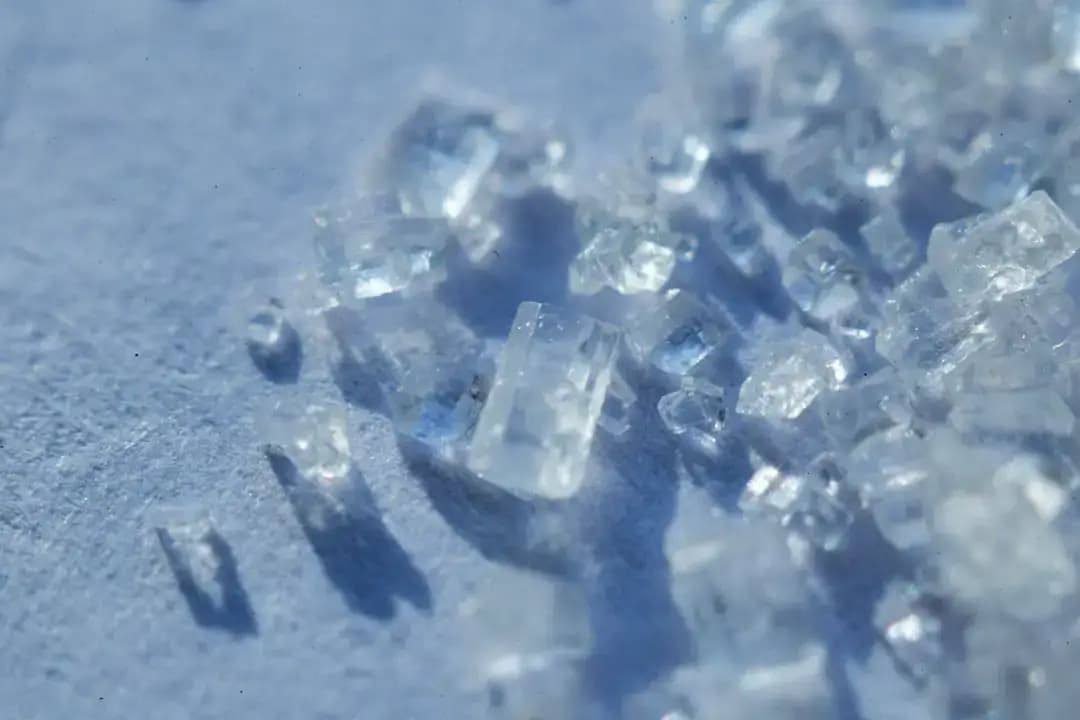 科普时间 | 什么是花珀？多色相间的琥珀魅力何在？