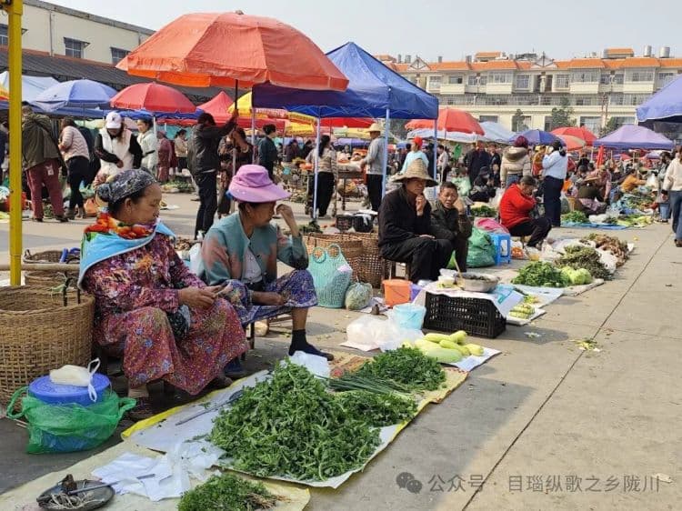 吃野菜啦！陇川人把春天“端”上餐桌