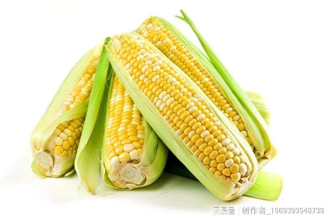 2024年玉米春耕春播技术意见