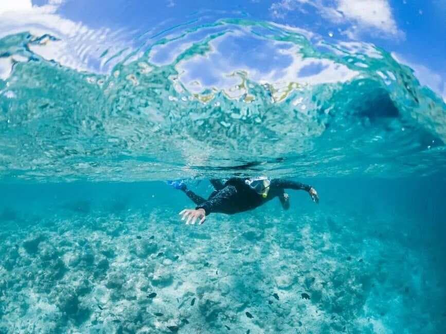 三亚和海口：海南岛上的双子星