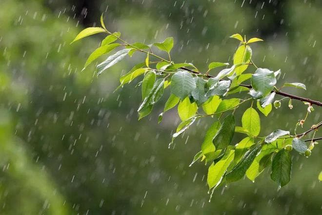 春日听雨，雨落成诗