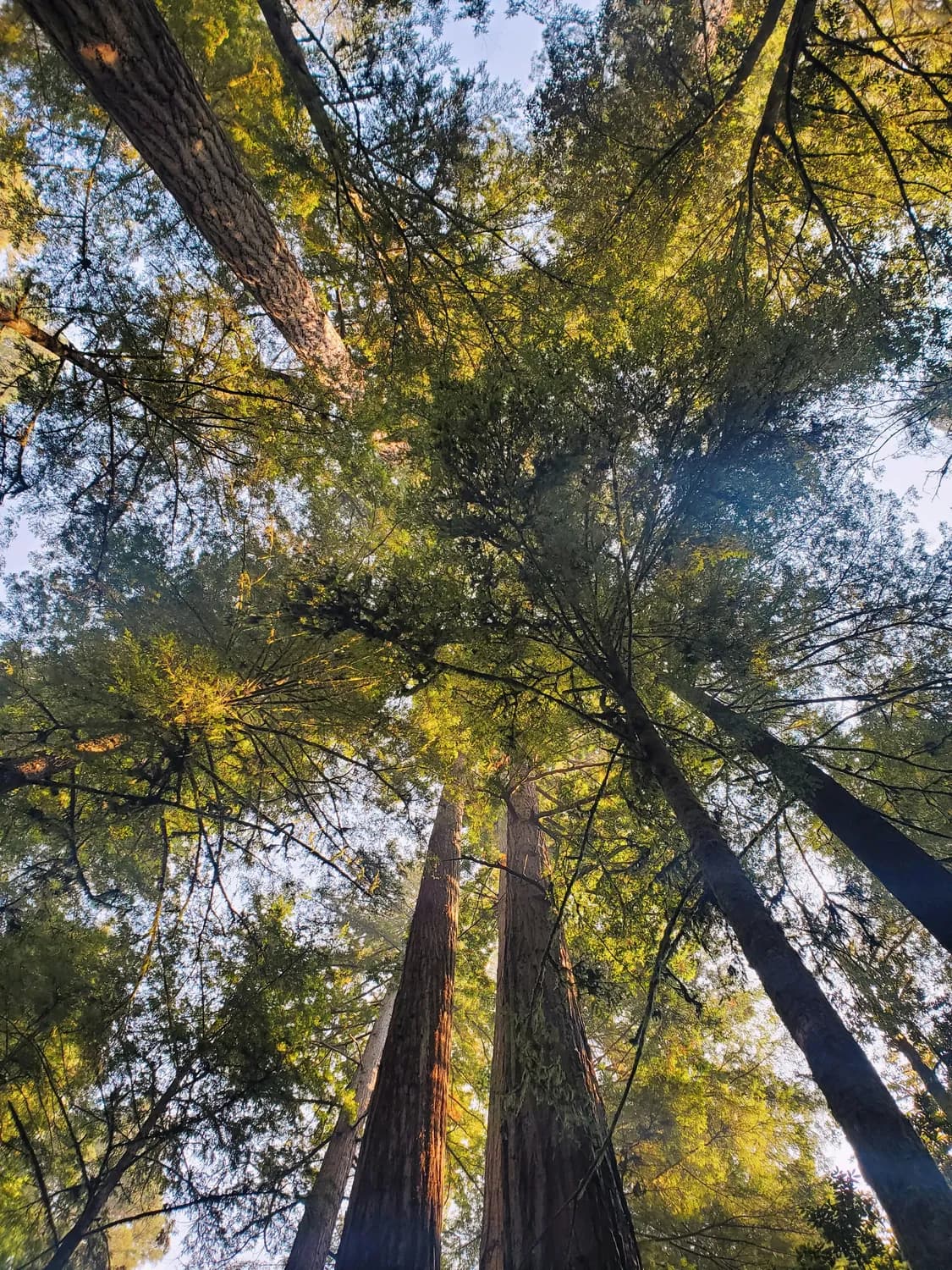 生物多样性保护新利器：InVEST模型的应用