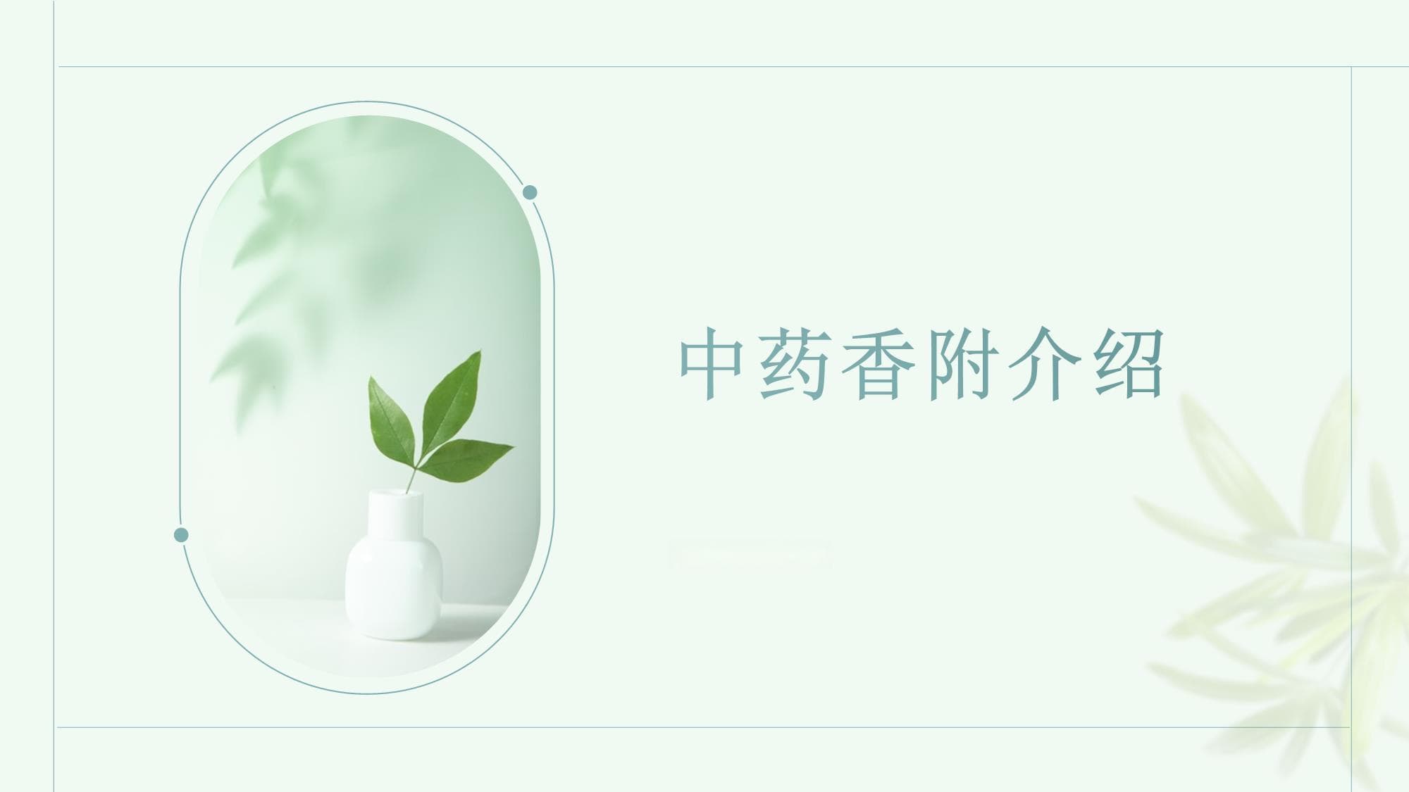 中药香附：从传统应用到现代研究的全面解析