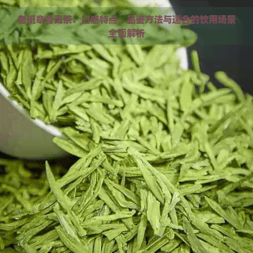 老班章普洱茶：口感特点、品鉴方法与适合的饮用场景全面解析