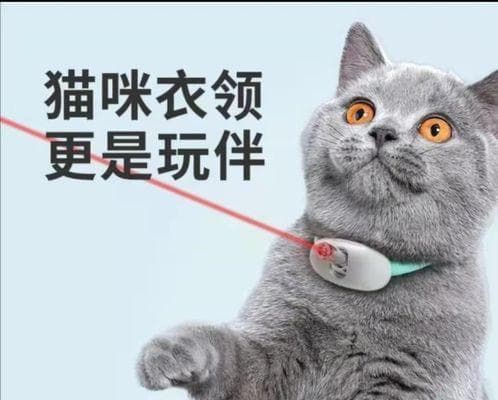 猫咪与毒花：15种常见有毒植物需警惕