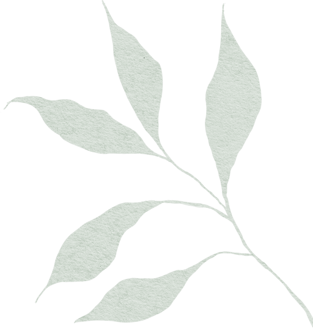 诺奖典藏：读加缪，从荒诞中寻找意义