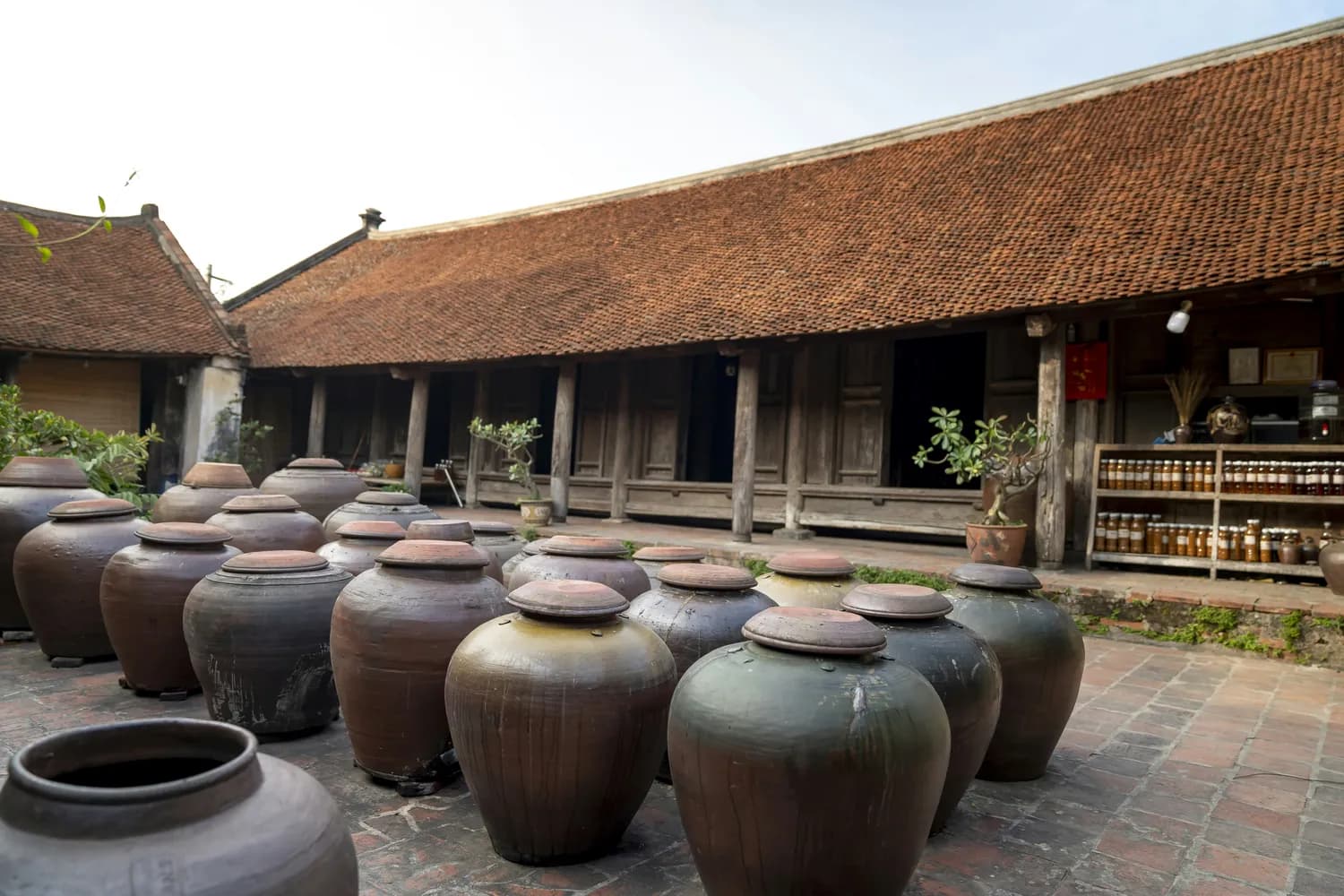 建水紫陶博物馆：探秘紫陶的前世今生