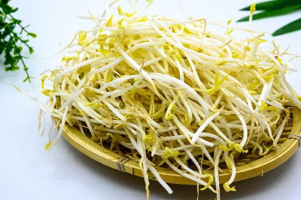 绿豆芽烹饪全攻略：焯水、去根须、清洗与食用禁忌
