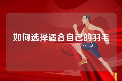 如何选择适合自己的羽毛球拉线磅数