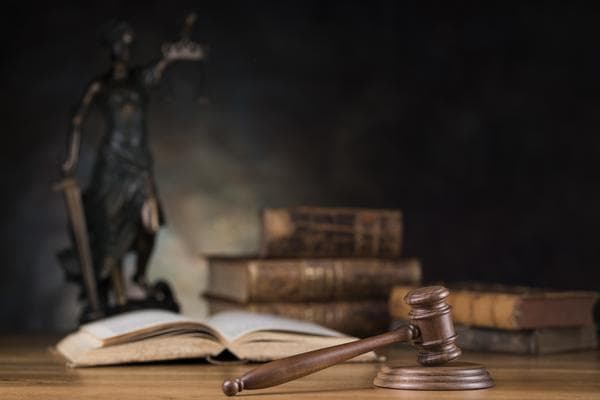 网上自助申请营业执照：法律框架与实践指南