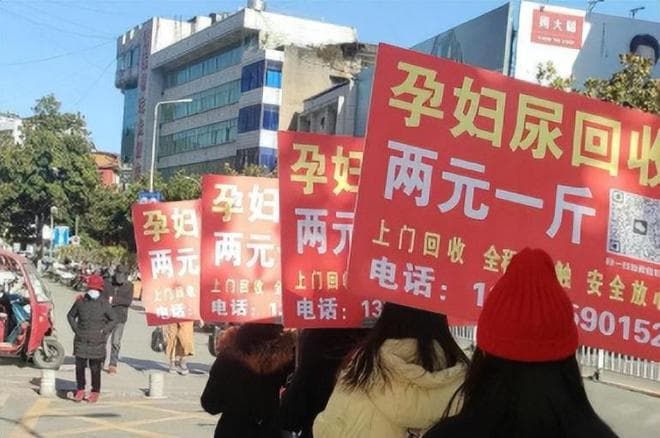 12元一斤回收孕妇尿液，究竟用来干啥？专家：用处可多了去了！