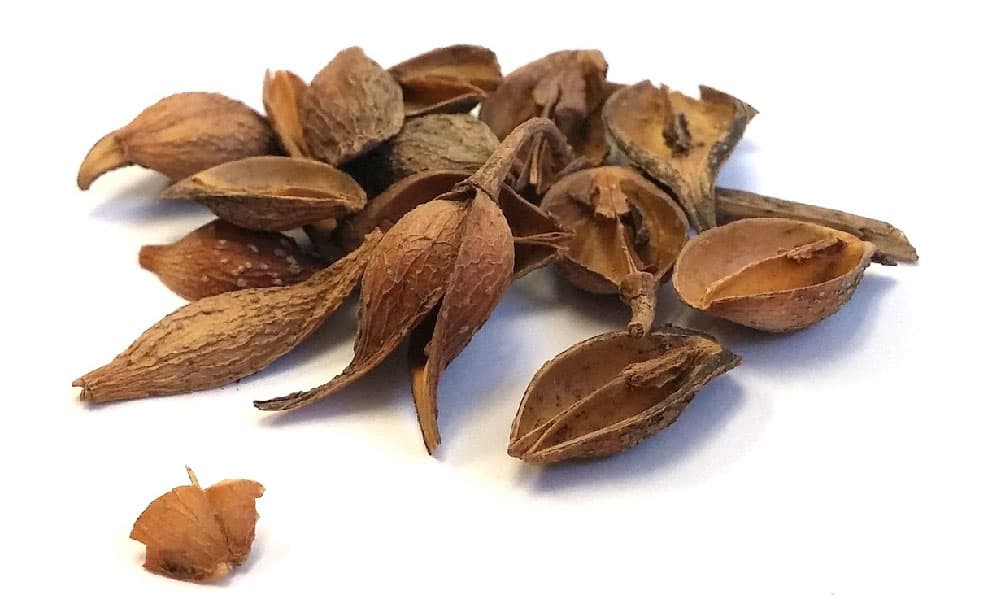 砂仁煲鸭汤和老鸭煲灵芝的功效与应用