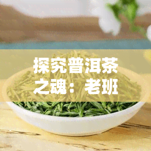 探究普洱茶之魂：老班章茶独特风味的四大特点
