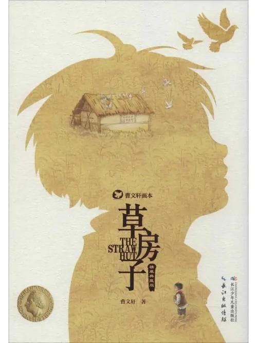 草房子这本书好在哪里？