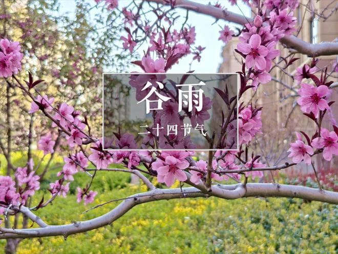 谷雨养生,春季“3宝”食材推荐与食谱解析