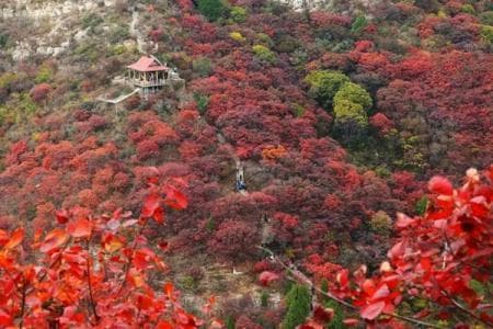 石门坊风景名胜区：中国五大红叶景观之一