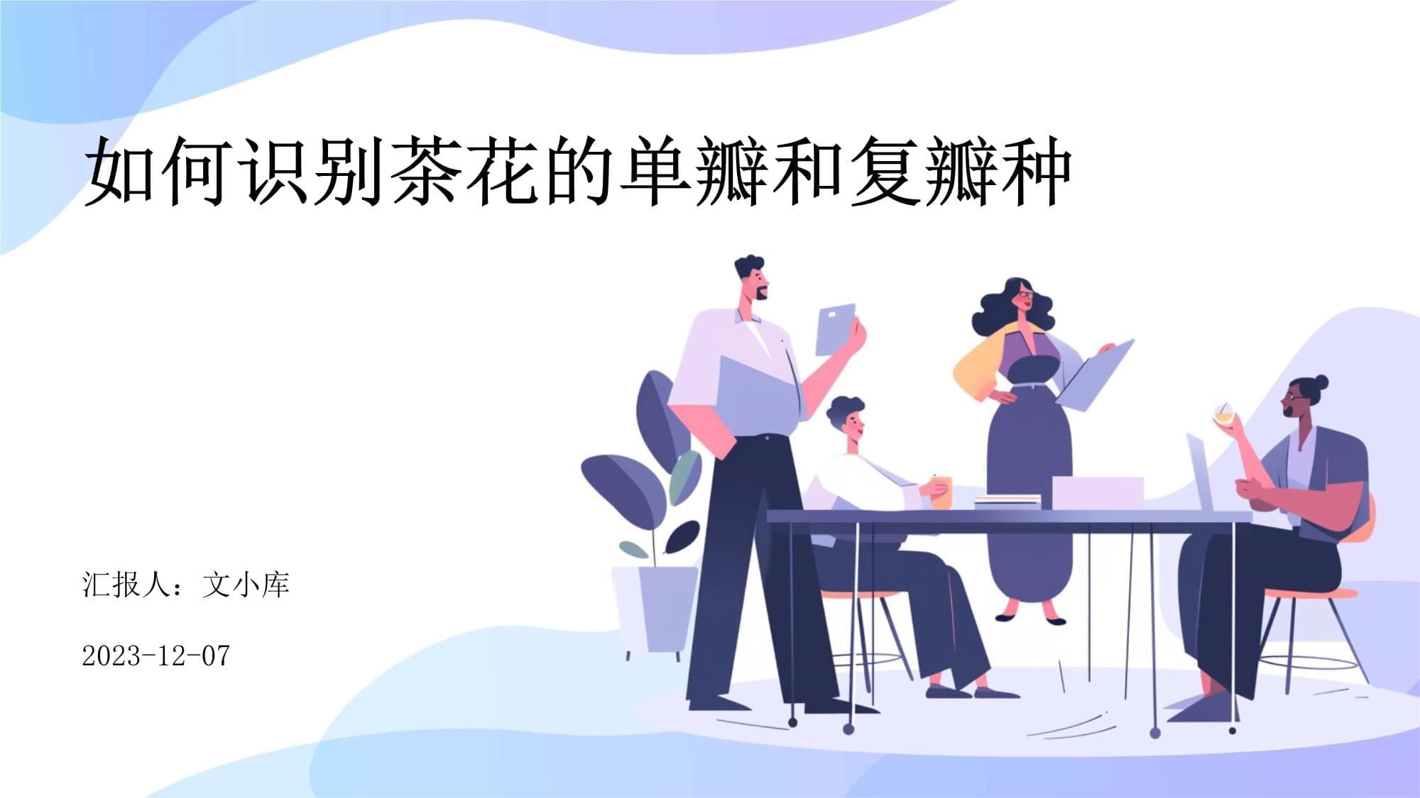如何识别茶花的单瓣和复瓣种