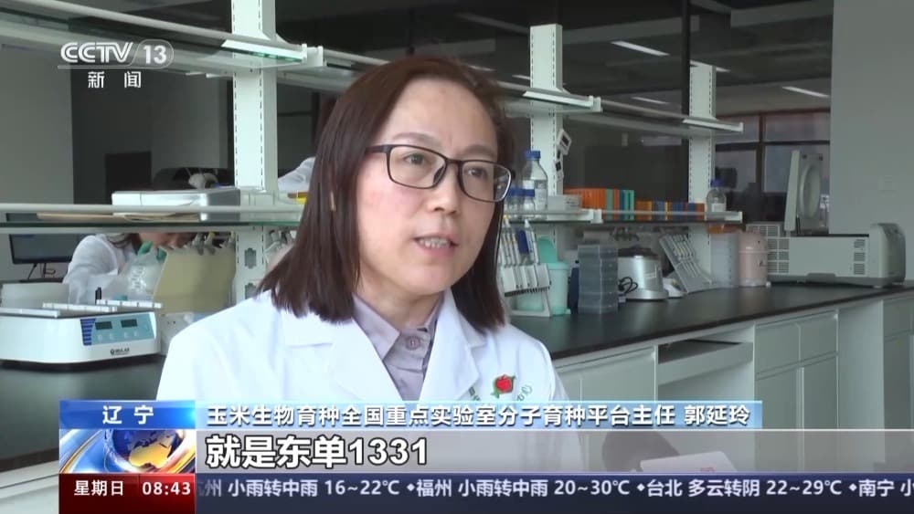 “低糖大米”、超高产水稻……这些农作物优良品种你了解吗？
