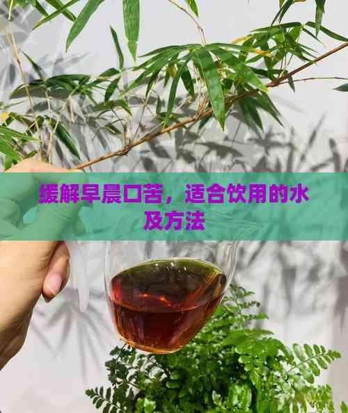 缓解早晨口苦，适合饮用的水及方法