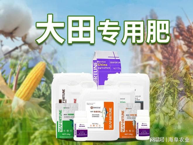 大豆需肥规律深度解析与高效施肥技术指南
