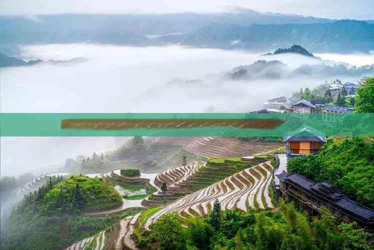 湖南张家界芙蓉镇畅游指南：探寻山水之美，究竟需要几天行程？