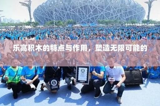 乐高积木的特点与作用