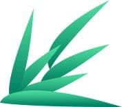 偏好逆转与消费者选择