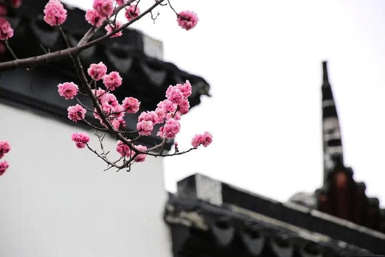 惊艳春日！学习七绝诗歌创作技巧，4首作品让你感受动人情怀