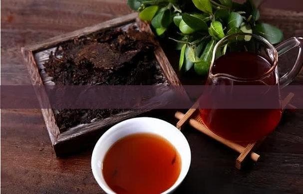 探秘普洱茶马古道：历史韵味与自然风光的完美体验之旅
