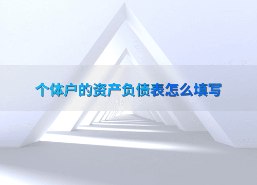 个体户的资产负债表怎么填写