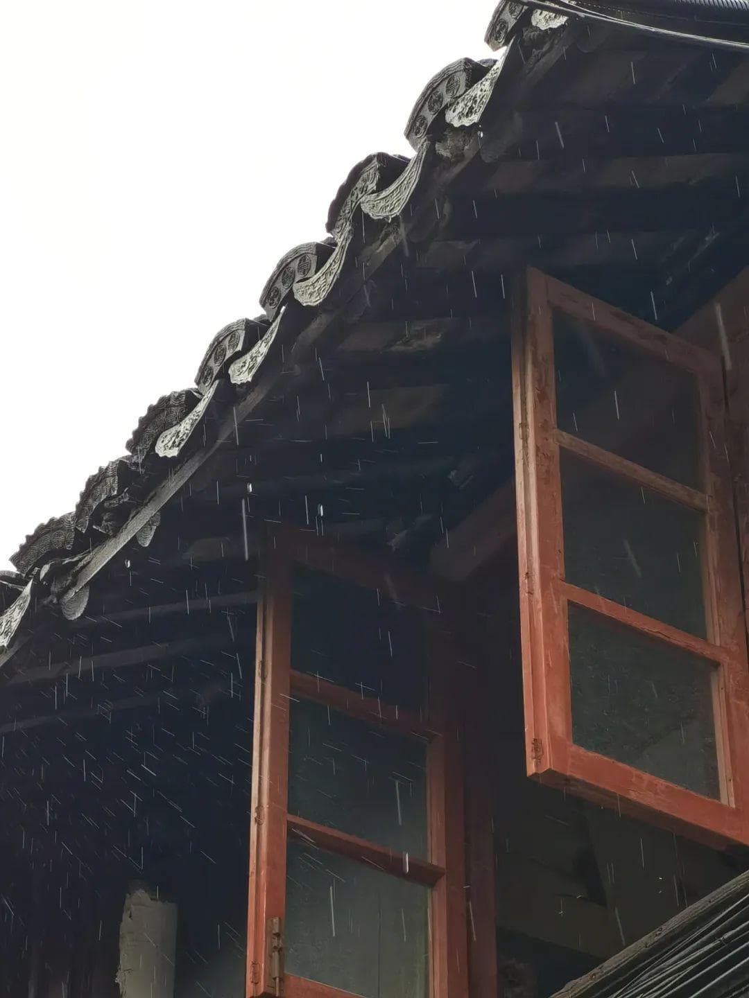 沉浸式体验！来青浦感受雨天专属氛围感～