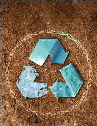 "活"塑料技术突破：新型生物降解塑料可快速破解白色污染