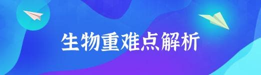 碳循环的基本过程是什么