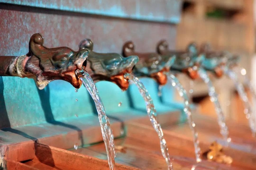 葡萄种植怎么浇水丰产稳产？葡萄的浇水管理方法一定要看