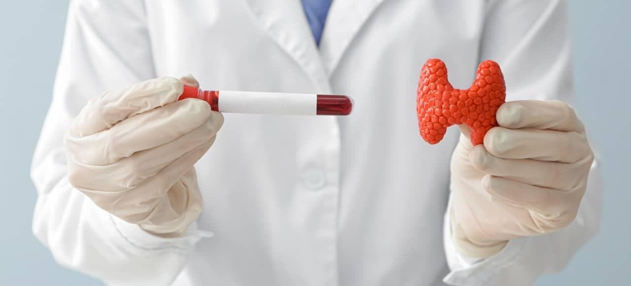 为您照亮甲状腺健康的道路