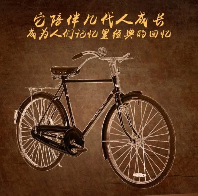 科普篇：自行车为什么只有往前蹬才走？