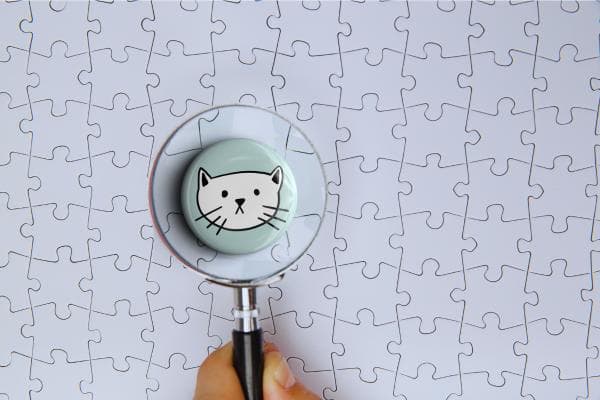 AI在影响者营销中的三大应用：从发掘到追踪，帮你选对网红KOL