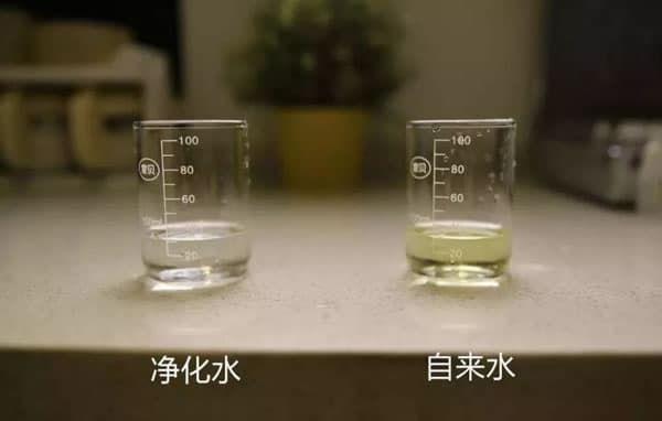 自来水安全指南：你家的自来水干净吗？