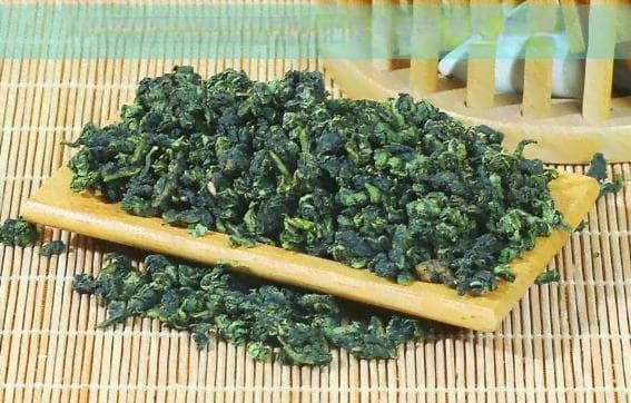 探究老树盘根错节的象征意义及其在生活中的应用