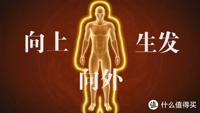24节气养生指南：每个节气要注意什么，来看看全年健康账单！