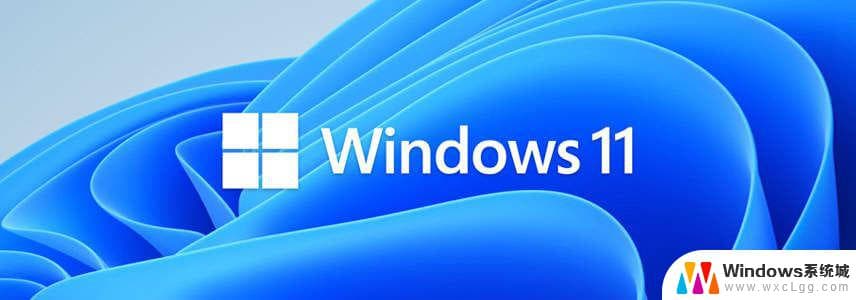 Windows 11系统网络和共享设置教程