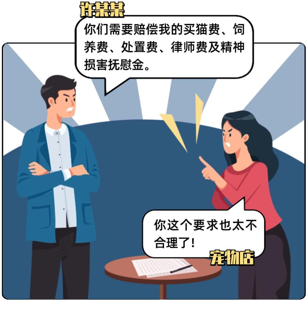宠物送店养护意外死亡，责任谁来担？