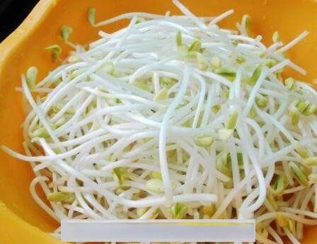 芽菜的功效与作用 吃芽菜有哪些好处