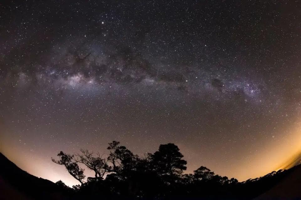 凌晨三四点，大批年轻人组队往这里赶！ 这种新型社交方式火了